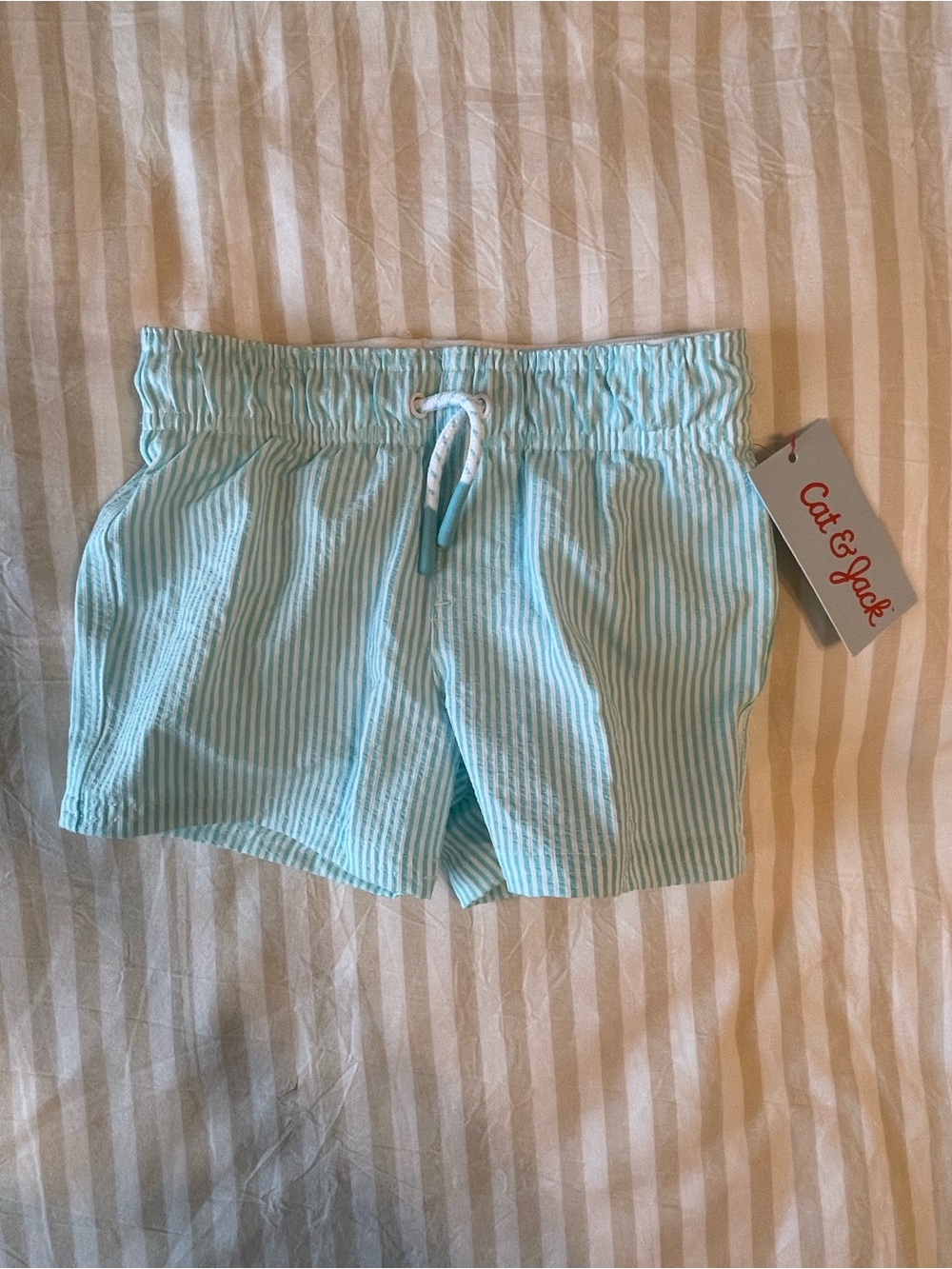 Cat & Jack Mint Blue Pinstripe Swim Shorts